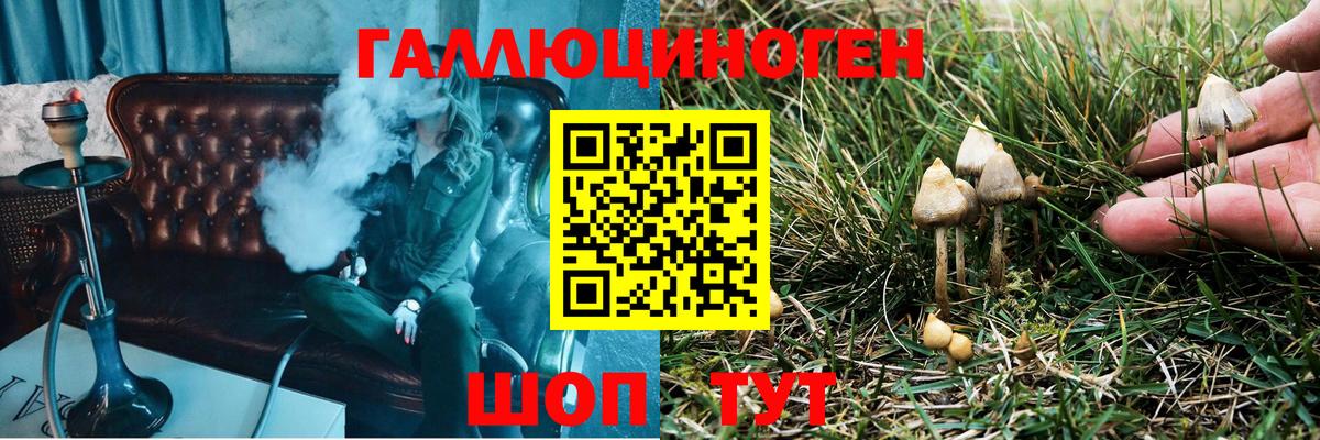 Псилоцибиновые грибы Magic Shrooms Казань