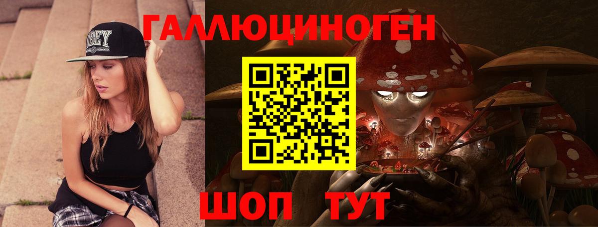 Псилоцибиновые грибы Psilocybe  Вход с VPN  Казань 